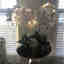 Customer photo 3 of 3