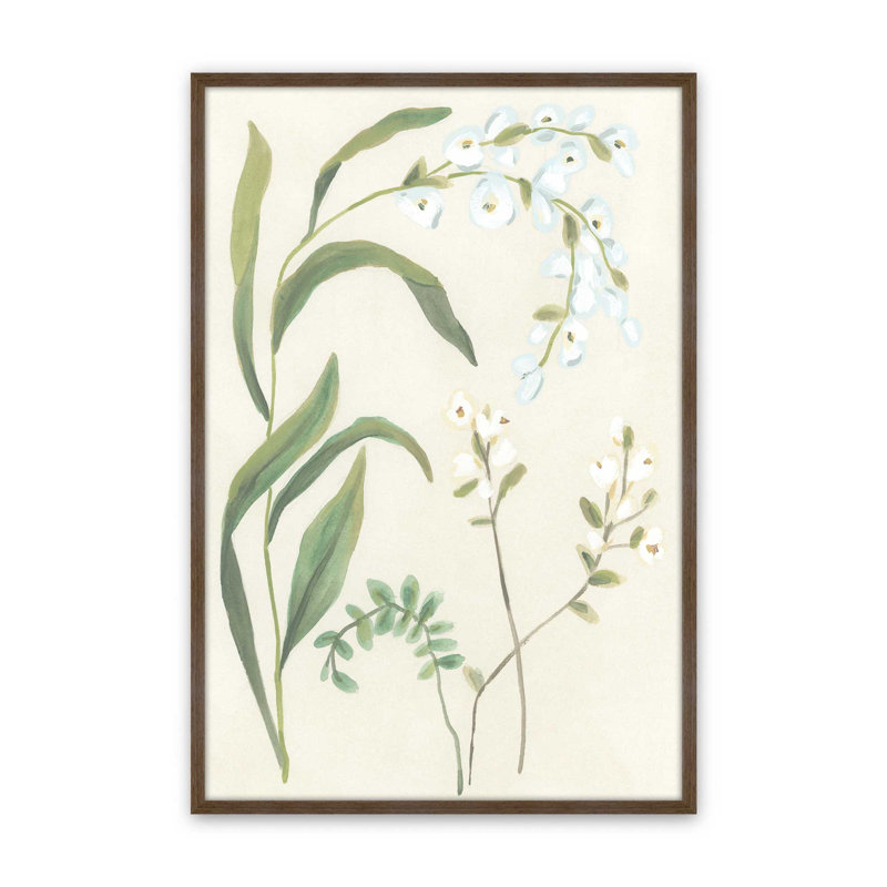 «Snowdrop Stems I» par June Erica Vess, reproduction d'art sur toile, Impression sur cadre ouvert sans papier mat, Brun