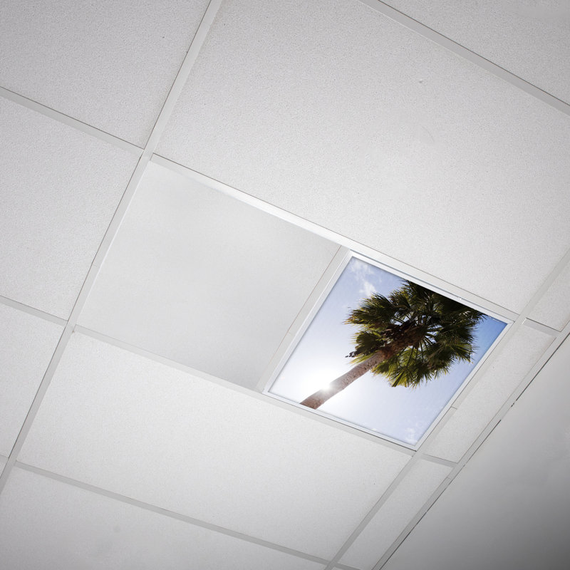 Couvre-lumière décoratif flexible en arbre