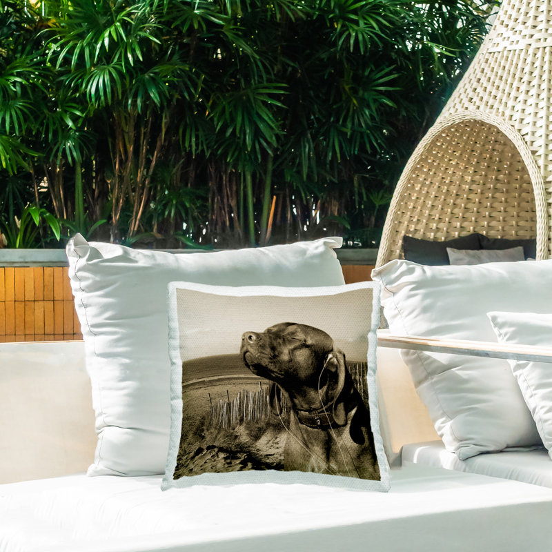 Coussin Relaxed Dog