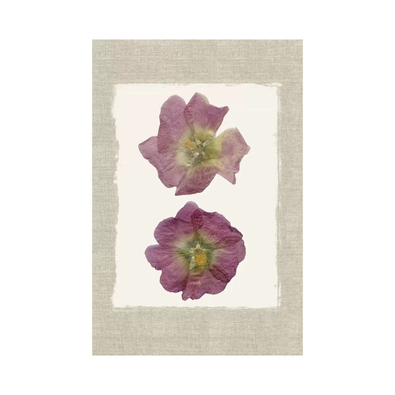 Pressed Hollyhocks II by Carol Robinson - Wrapped Canvas Painting, 101.6 cm H x 66.04 cm W x 3.175 cm D