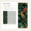 Papier peint floral tropical, oiseaux tropicaux-2009646178