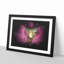 Clownfish & Sea Anemone Paint Splash - Picture Frame Graphic Art-56866320-56866326