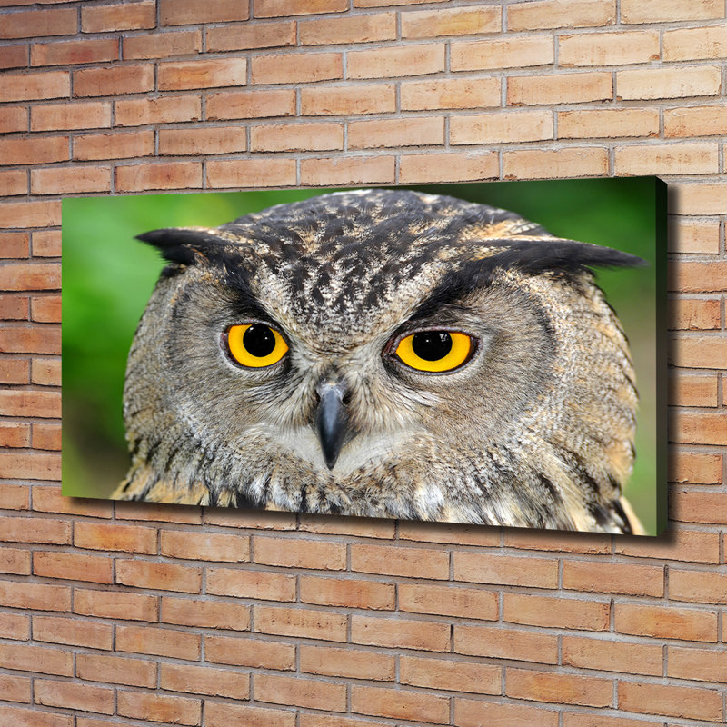 Owl - Wrapped Canvas Print