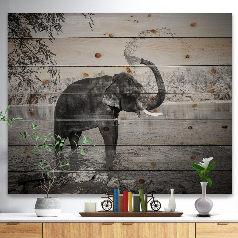 «Elephant Bathing», impression sur bois sans cadre, H 12 po x l 20 po x P 1 po