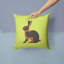 Coussin décoratif d’extérieur à chèque de lapin-48712494-23813684