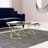 Glass Top Coffee Table-898568622