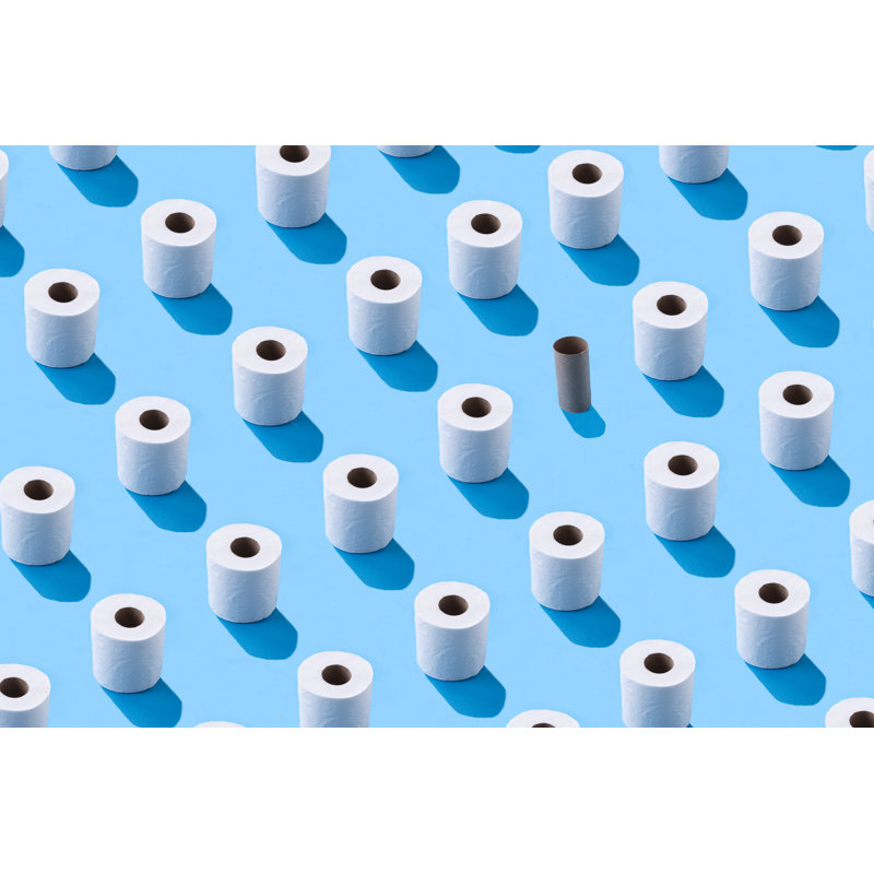 White Roll Toilet by Selcuk1 - Wrapped Canvas Print, 30cm H x 46cm W x 3.8cm D