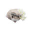 Easter Bunny Napkin Ring