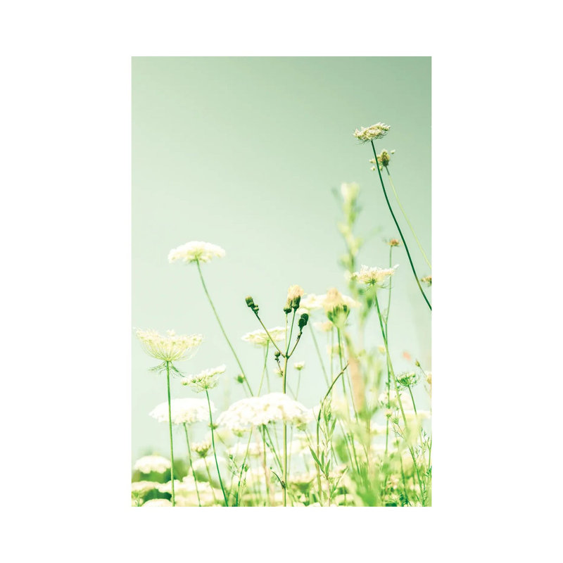 Openhearted by Olivia Joy StClaire - Wrapped Canvas Print, 66.04 cm H x 45.72 cm W x 1.91 cm D