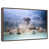 Floating Frame Walnut