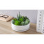 Ceramic Pot Planter