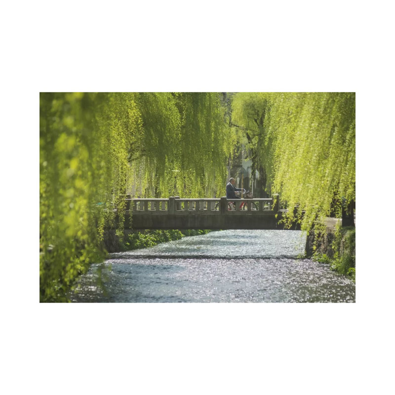 Spring in Japan XII 1 Piece Wrapped Canvas Wall Art, 101.6 cm H x 66.04 cm W x 1.91 cm D