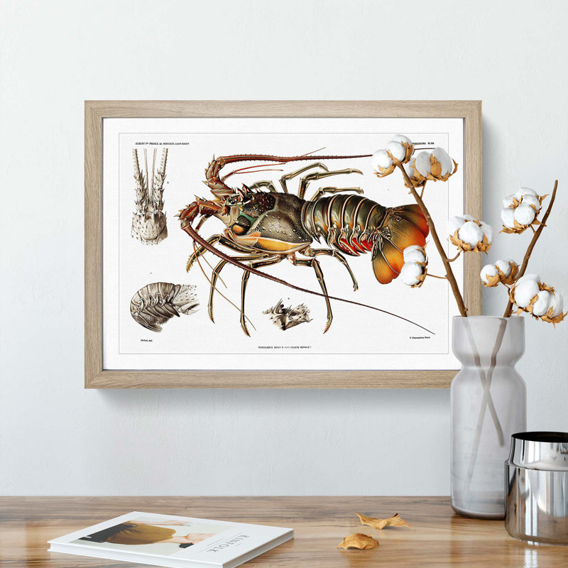 European Lobster by Albert I - Picture Frame Painting Print on MDF, Oak Framed, 36cm H x 48cm W x 2cm D