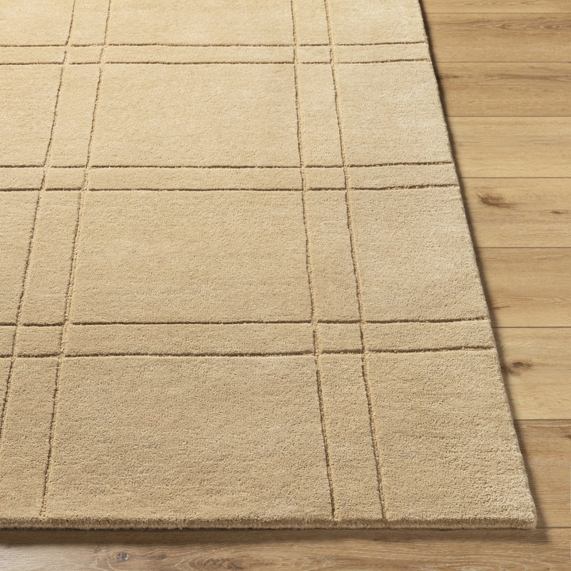 Tapis brun clair touffeté à la main Sioeli, Rectangle 4pi x 6 pi