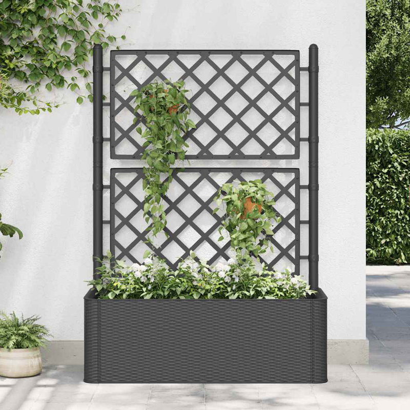 VidaXL Jardinière en treillis surélevé à motif de rotin, H 55,91 po x l 39,37 po x P 16,93 po, Anthracite