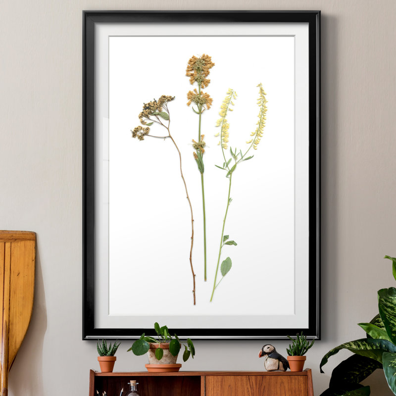 Pressed Botanical III par J Paul - reproduction de cadre photo, H 30,5 po x l 42,5 po x P 1,5 po, Cadre noir
