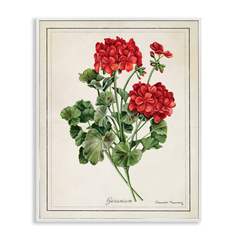 «Vivid Red Geranium Blossoms», art de la giclée encadrée, design par Danielle Murray, H 30 po x l 24 po