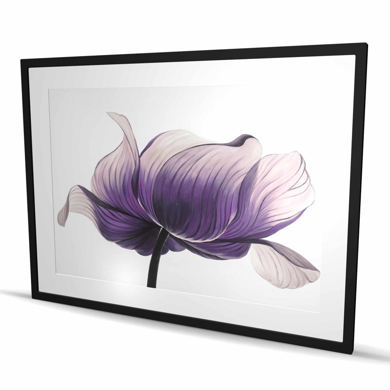 Imprimé de fleurs d'anémone mauve - décor encadré mat, Noir
