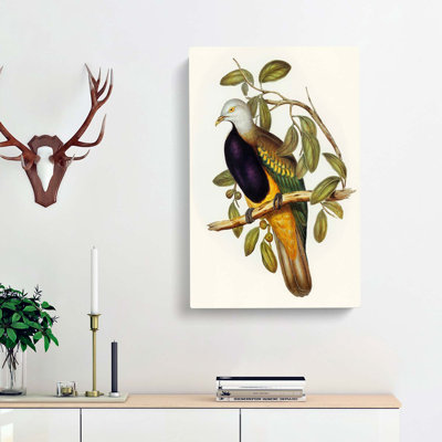 Magnificent Fruit Pigeons by Elizabeth Gould - Wrapped Canvas Art - Wrapped Canvas