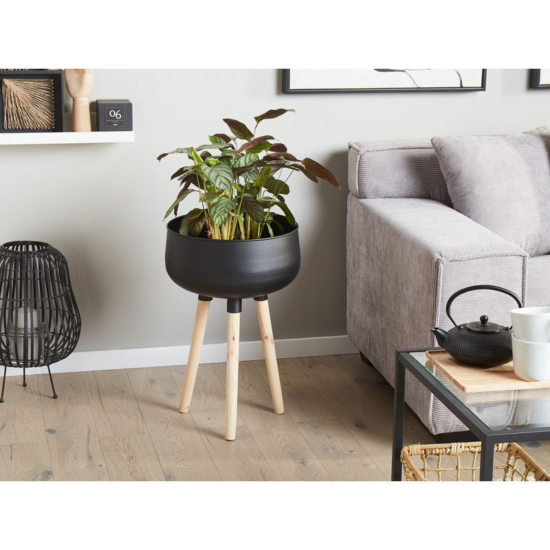 Montoya Pot Planter, 55cm H x 35cm W x 35cm D