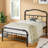 Amylia 18-Inch Heavy Duty Noiseless Non-Swaying Metal Iron Platform Bed Frame with 44” Headboard and Footboard, Black Iron-540552454