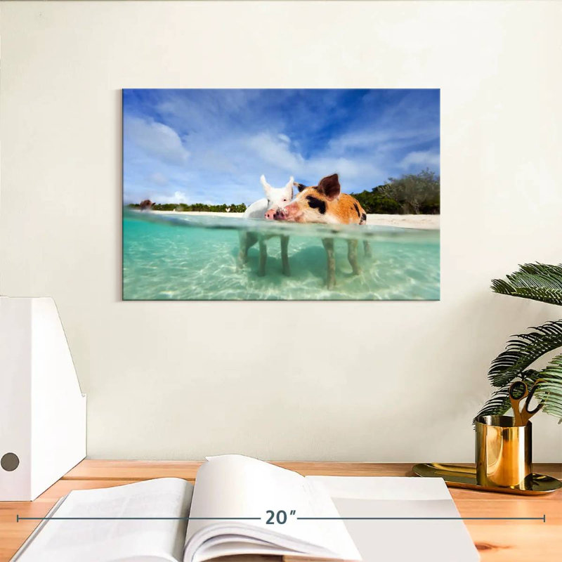 Brampt Pigs Bahamas Life, H 8 po x l 12 po