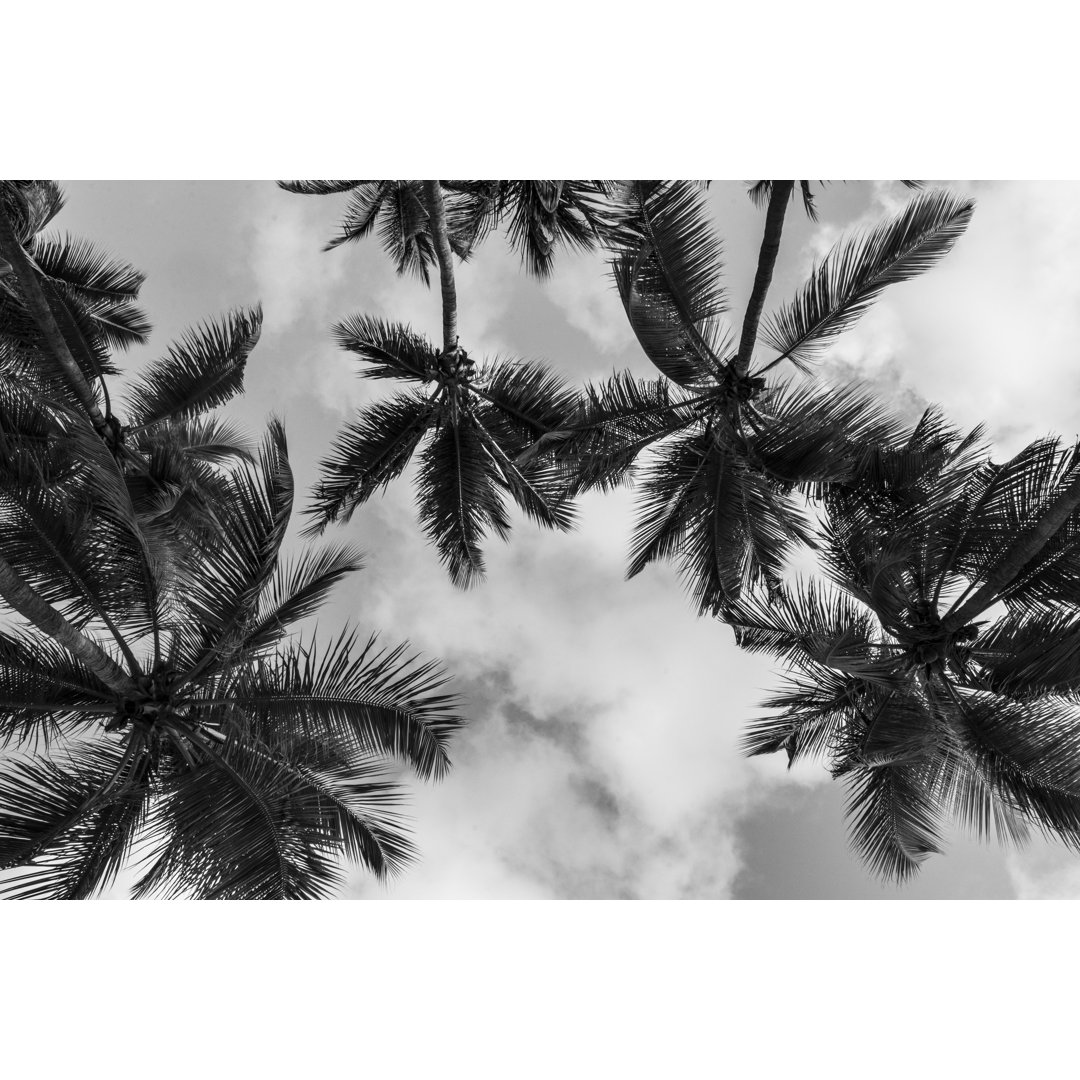 Palm Tree Silhouettes von MRaust - Leinwandbild