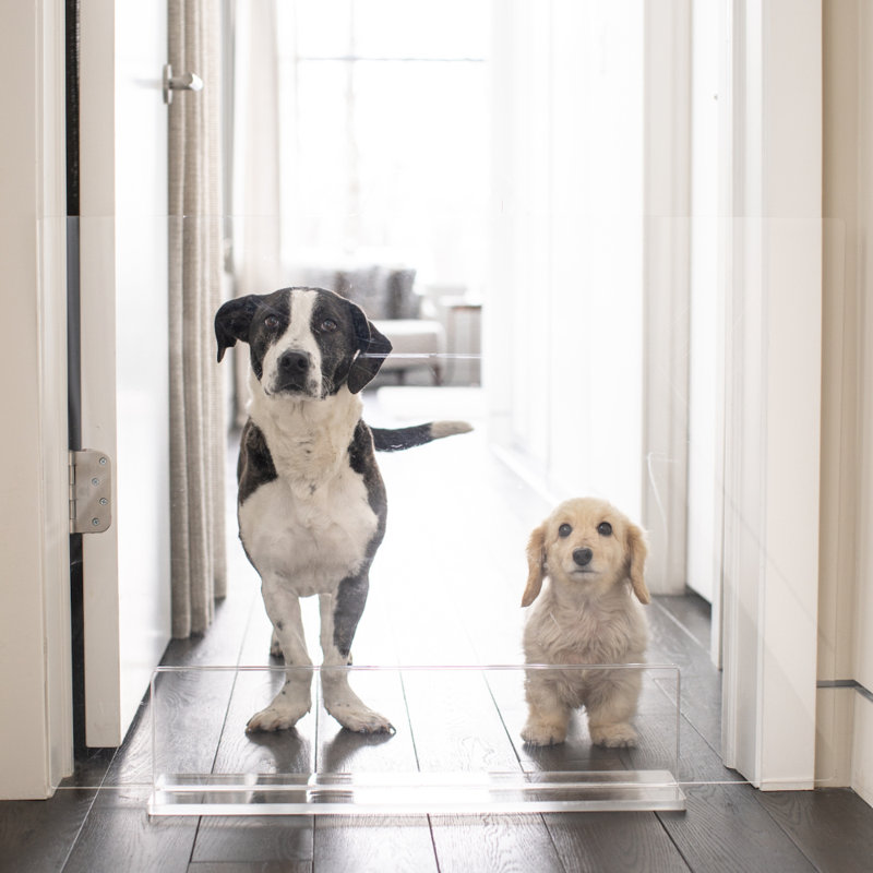 Low Clear Pet Gate Panel, 30" H x 32" W