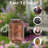 Metal Hanging Solar Powered Integrated LED Outdoor Lantern (Buttfly pattern)