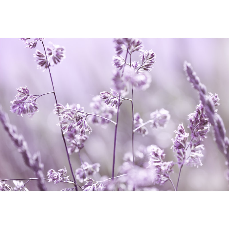Nature Background by Jasmina007, 12" H x 18" W
