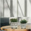 POT DE TABLE S / 2 EN CÉRAMIQUE 6/8 po, beige