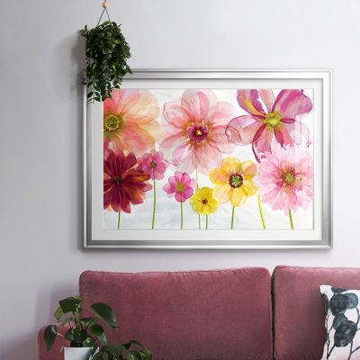 Pop du printemps