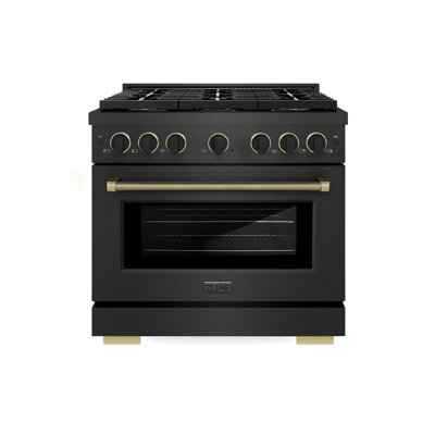ZLINE Designer 36 in. DuoPro Dual Fuel Range in Black Satin Steel with Black and Bronze Accents