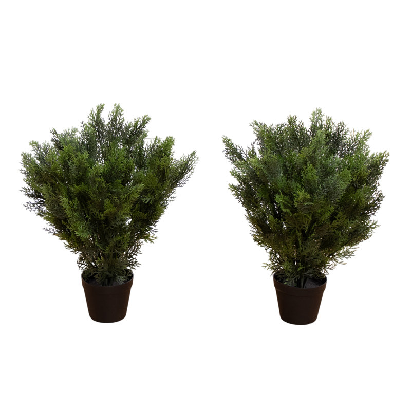 2ft. Artificial Cedar Tree UV Resistant (Indoor/Outdoor) - Set of 2, 24" H x 16" W x 16" D