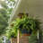 9.64" Diameter Hanging Plant Pots