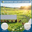 Chicken Coop