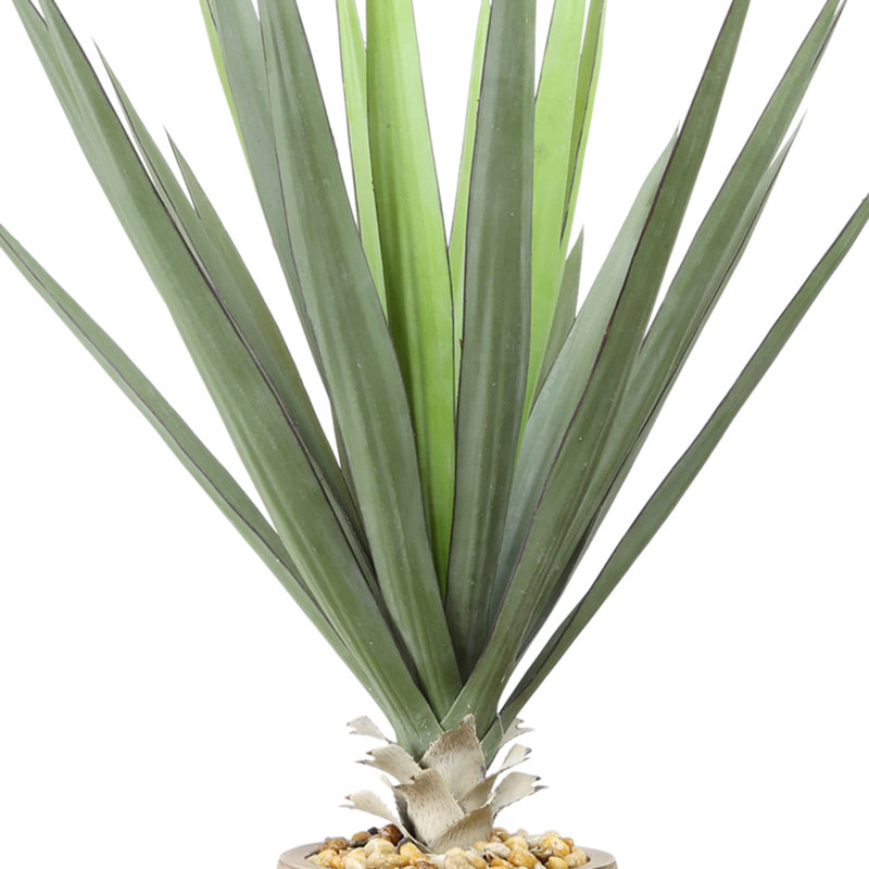 Yucca en pot de fleurs en céramique