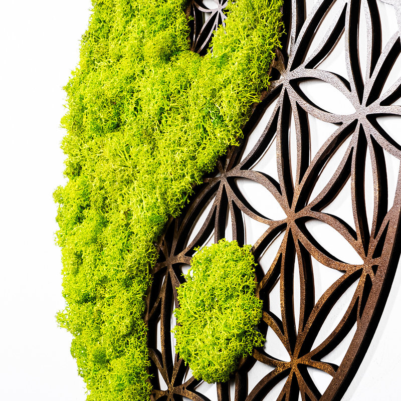 Handmade Decorative Wall Accessory, Green & Brown, 17.3 x 0.4 x 17.3 inches | 100% MDF with MOSS, Thickness: 0.4 inches | Unique Color Variations, Perfect for Home Décor & Accent Walls, Stylish & Functional Design