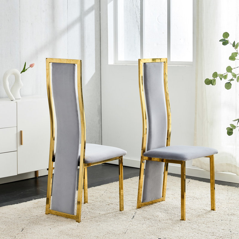 Kristiane Velvet Upholstered Full Back Dining Chairs Modern Design (Set of 2), Gray