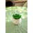 Gamache 7'' Faux Succulent in Ceramic Pot