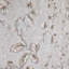 Rose grisâtre délavé, écailles de poisson en plâtre, papier peint à branches florales
