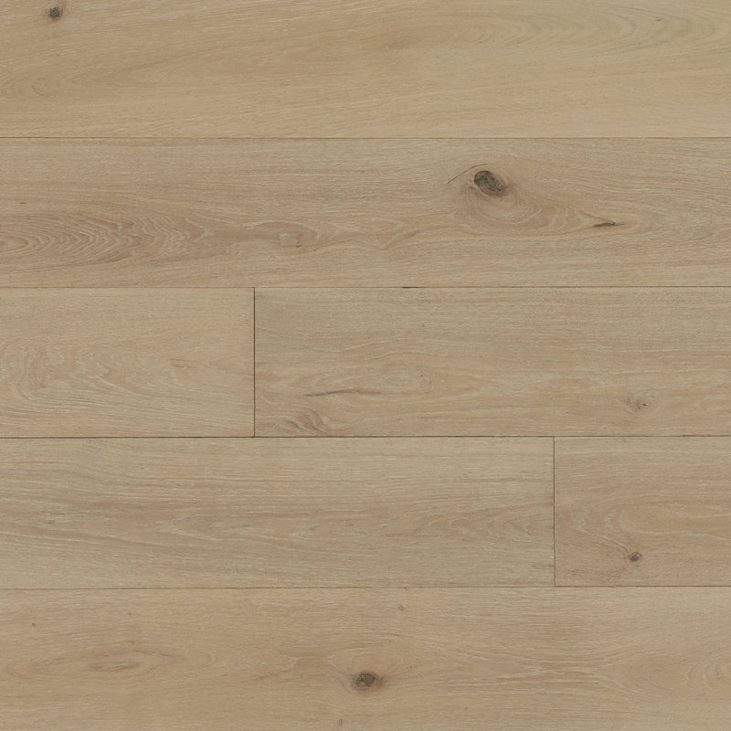 Shore, Dark Oak