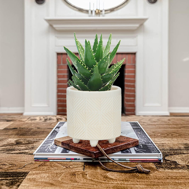 Kashandra Handmade Ceramic Pot Planter