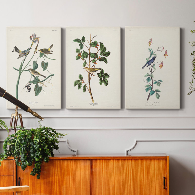 Pl. «153 Yellow-Rump Warbler», ensemble de 3 impressions sur toile tendue, H 18 po x l 36 po x P 1 po