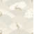 Gray selected