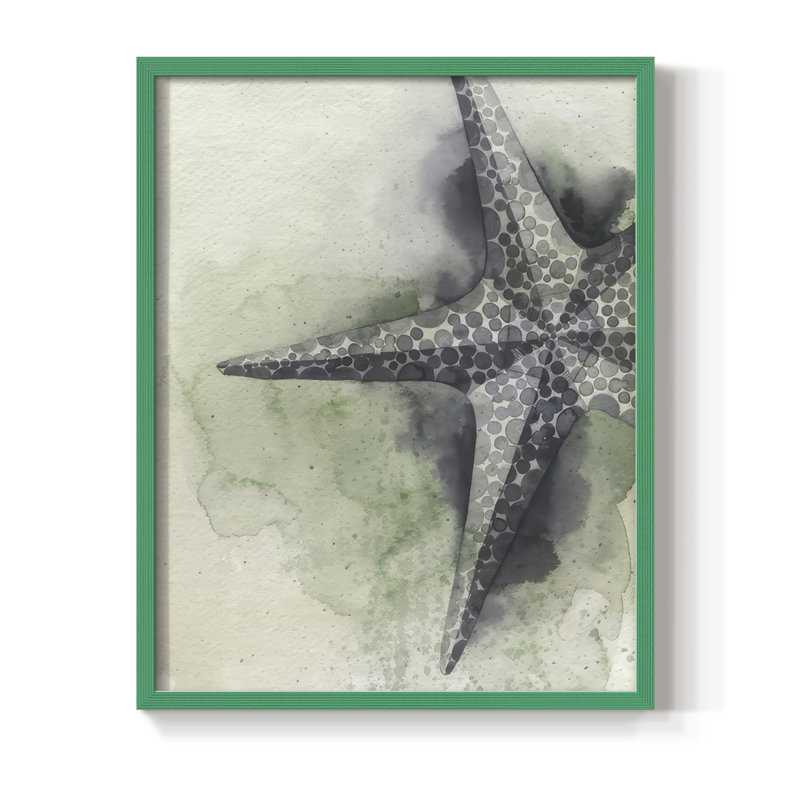 «Found Starfish II», reproduction encadrée - bois massif, H 11 po x l 9 po, Vert