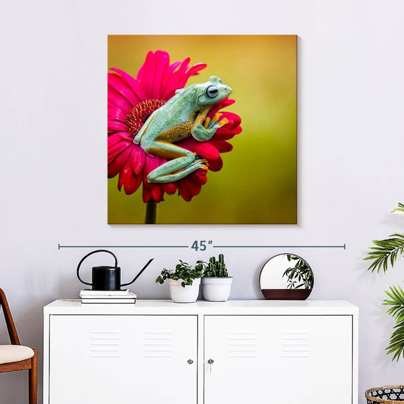 Crowle Tree Frog On Flower, 30" H x 30" W