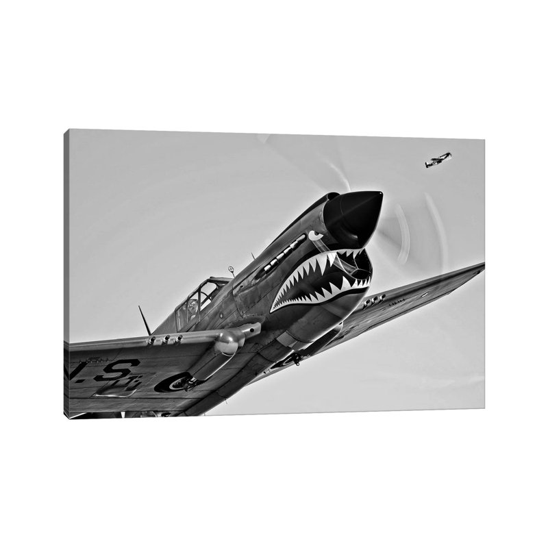 A Curtiss P-40E Warhawk In Flight Near Chino, California I by Scott Germain - Wrapped Canvas Print