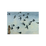 Sparrows Print by Chelsea Art Studio